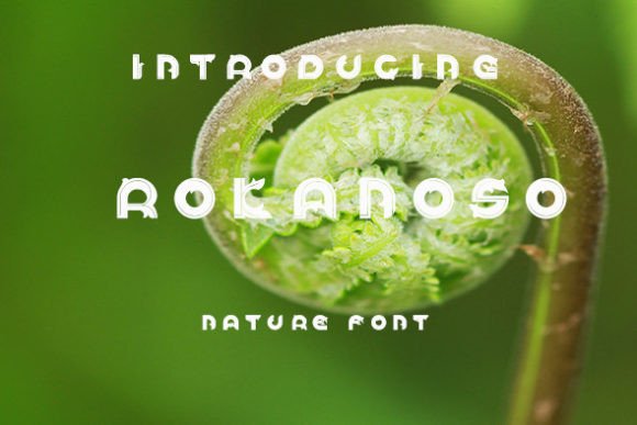 Rokanoso: A Lush Display Font for Small Business Branding